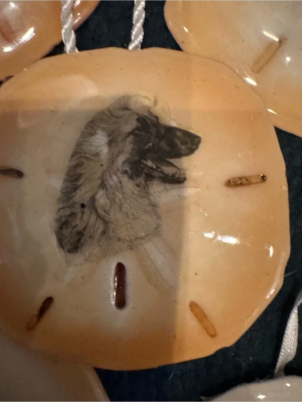 Hand-crafted Dog real Sand Dollar Ornaments - Beige